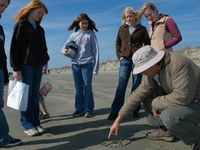 Students on beach cario